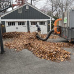 Fall Cleanup Season Is Here: Get Your Yard Ready Before the Leaves Pile Up