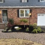 Blue poppies shine at Gardening Scotland Tom Smart